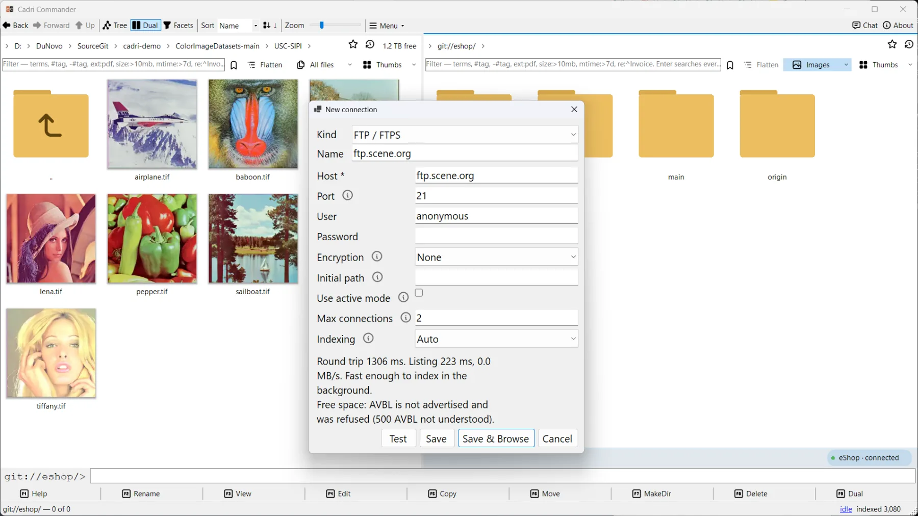 New connection dialog for FTP/FTPS over a dual pane: host, port, user, encryption, initial path, max connections, indexing, and a test result reporting round trip, listing time and that free space is not advertised.