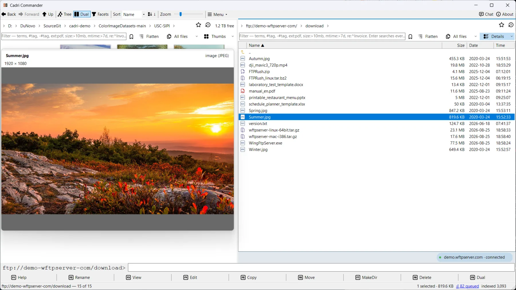 An FTP server browsed in the right pane with a 1920 by 1080 photograph previewed in Quick view on the left, a connected health chip and the ftp:// path in the terminal bar.